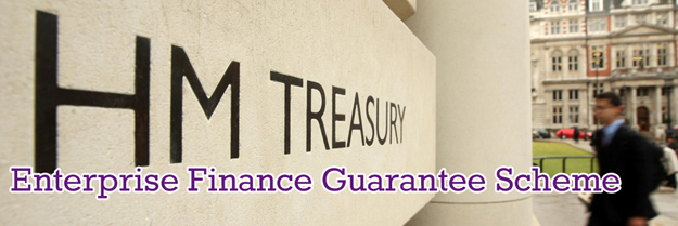 Featured image for enterprise finance guarantee
