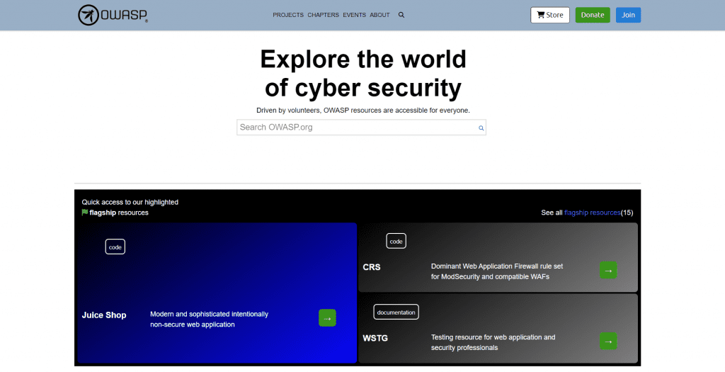 Web app security testing