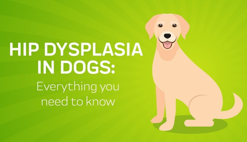 Does pets best insurance cover hip dysplasia