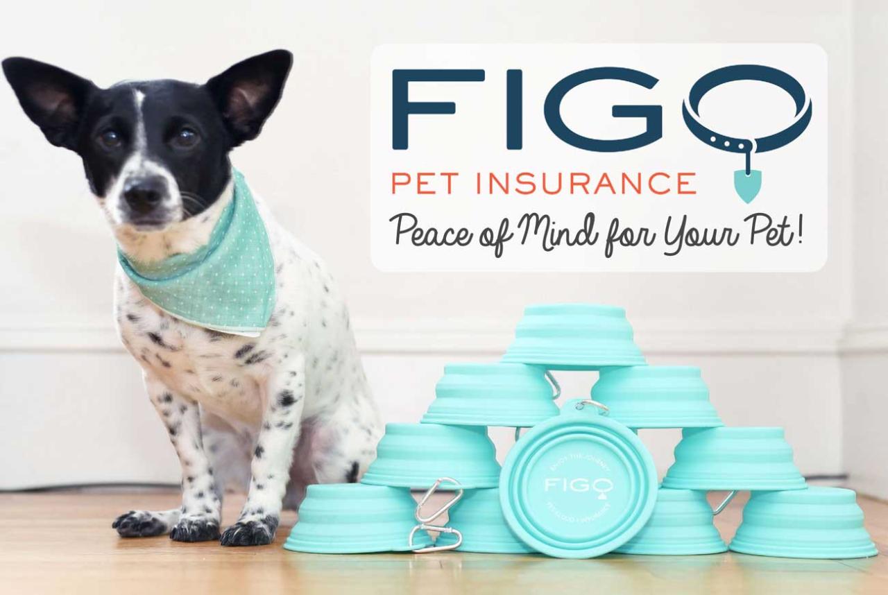 Figo insurance pet plans review pricing