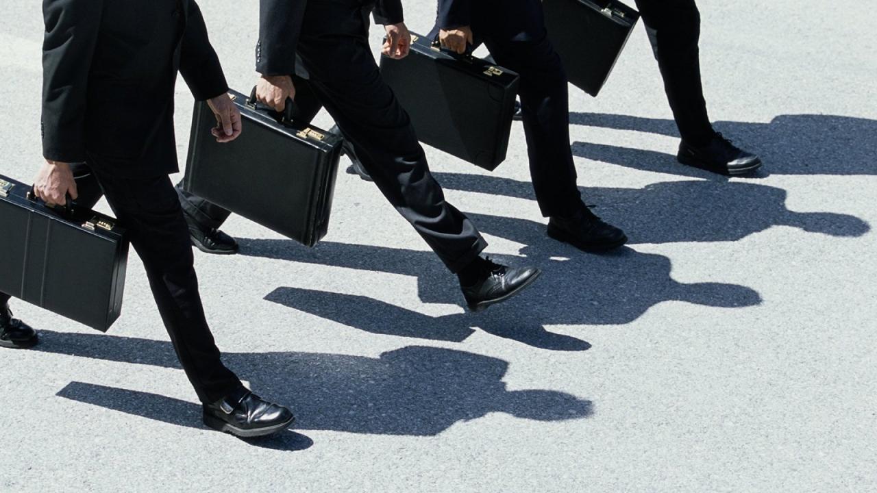 Computer programs for lawyers