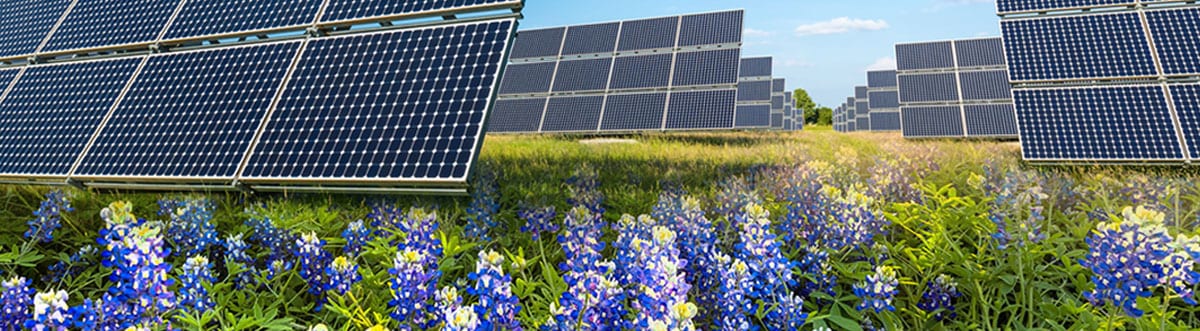 The Green Mountain Energy net metering program - Freedom Forever The Green Mountain Energy net metering program - Freedom Forever