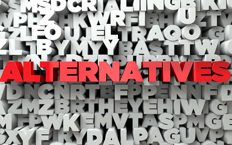 Alternatives to Starting a Business from Scratch