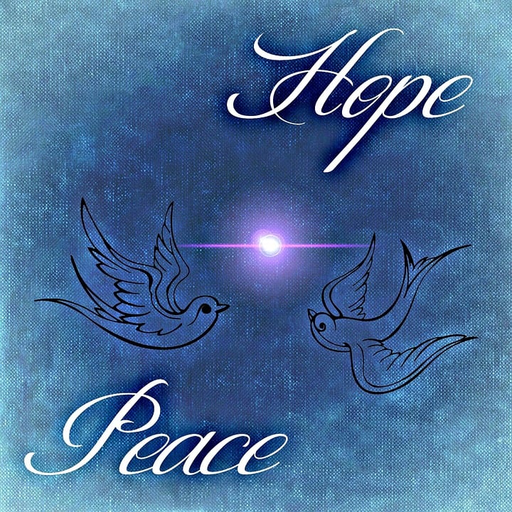 Hope Peace Dove - Free image on Pixabay
