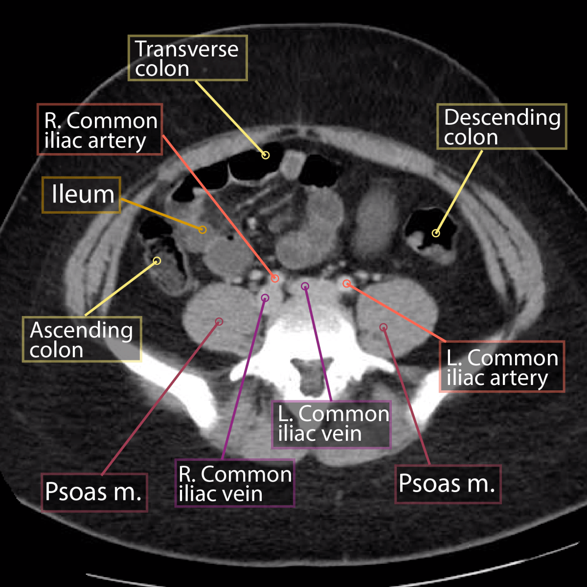 Ct lottery application