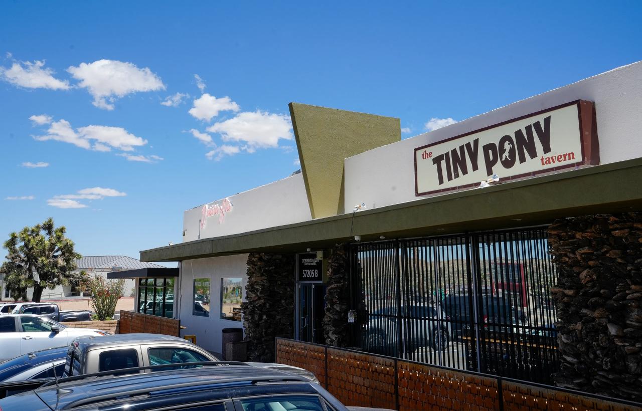 Best application developers